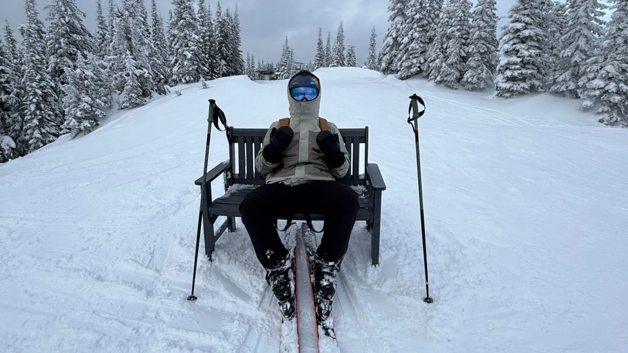 Becas para estudiar en Canada